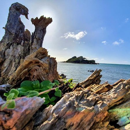 Goat Island Bungalow 阿尔弗斯通 外观 照片