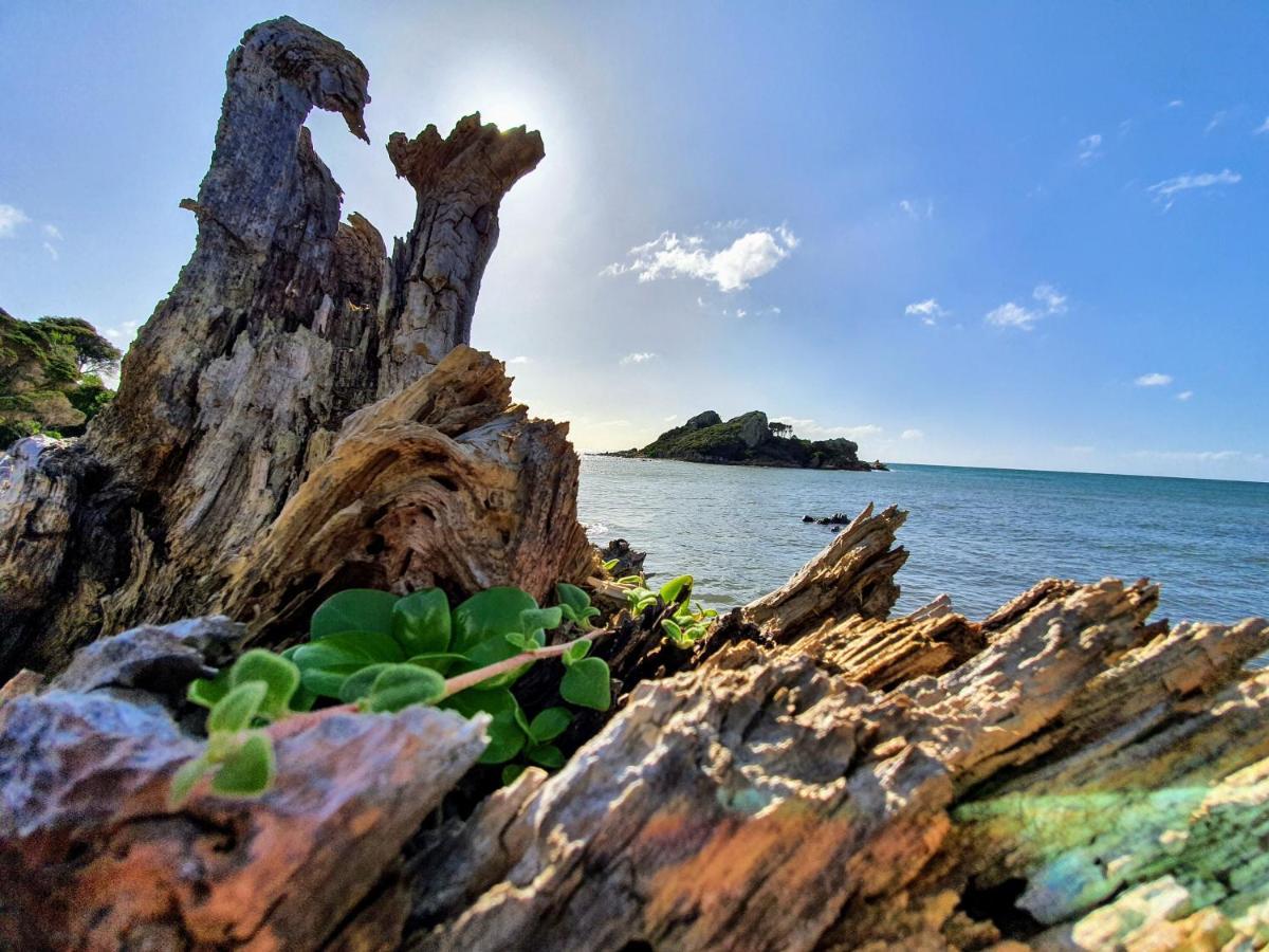 Goat Island Bungalow 阿尔弗斯通 外观 照片